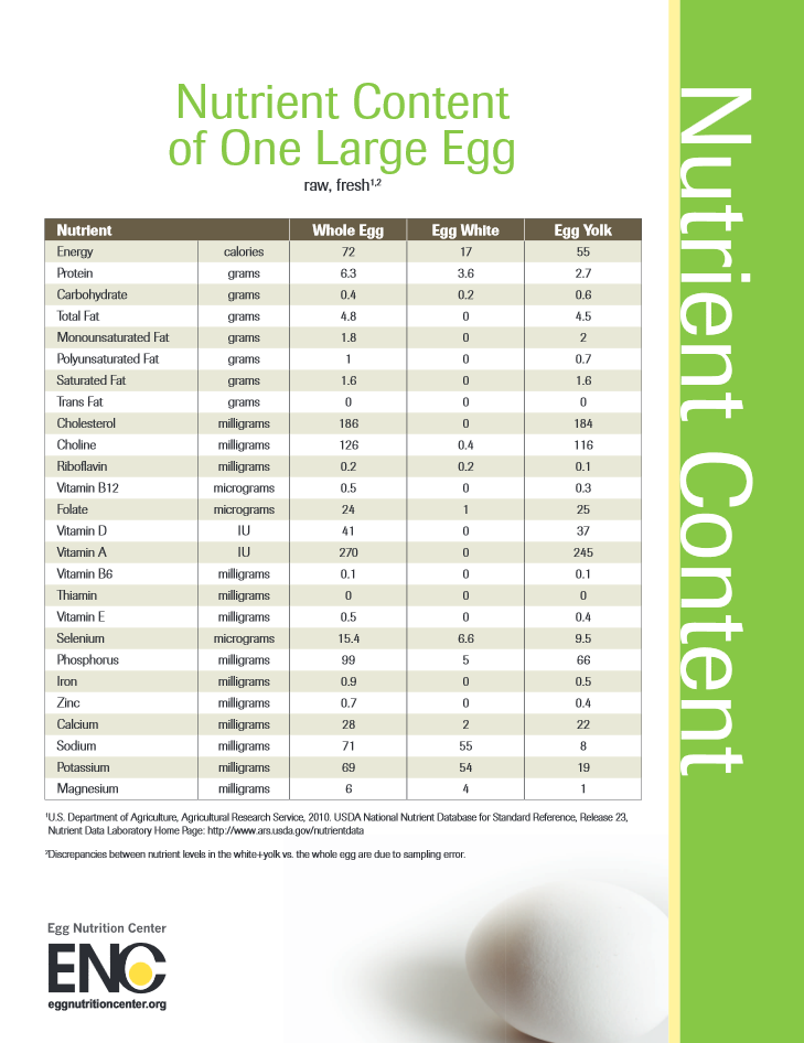 Real Eggs VS Egg Substitutes: Nutrition and Health - Gemperle Farms