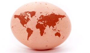 Gemperle Farms celebrates world egg day