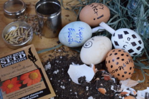 Gemperle Farms Easter egg seed bombs