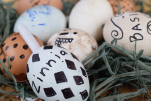 Mother's Day gift ideas egg seed bombs