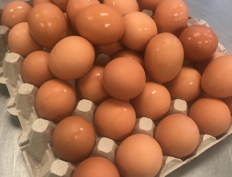 eggs eggs