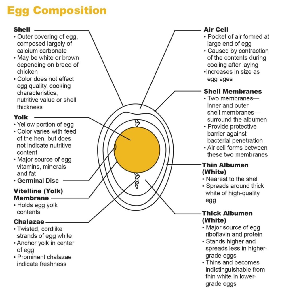 Gemperle Eggs Facts And Info Gemperle Farms