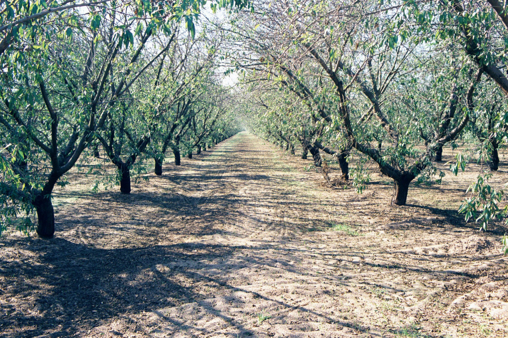 gemperle farms Sustainability sustainability at Gemperle Farms