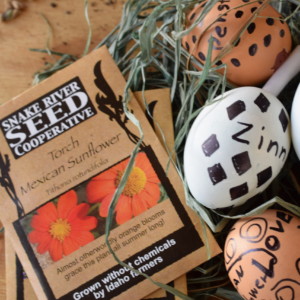 Gemperle Family farms egg seed bombs