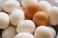 Gemperle Family Farms eggs