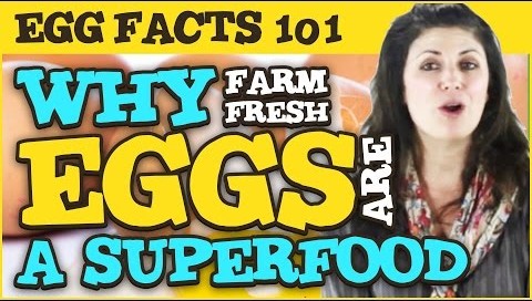 Gemperle Farms eggs are a superfood