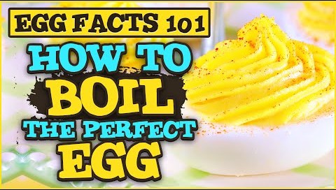 Egg Facts 101 The best way to hard boil an egg by Gemperle Farms