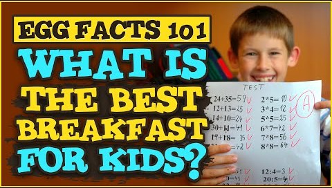 Gemperle Farms Egg Facts 101 How to make a brain-healthy kids egg breakfast