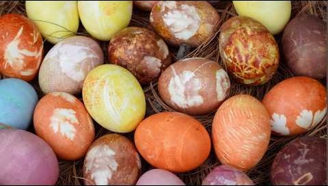 Gemperle Farms naturally dyed easter egg photo collection
