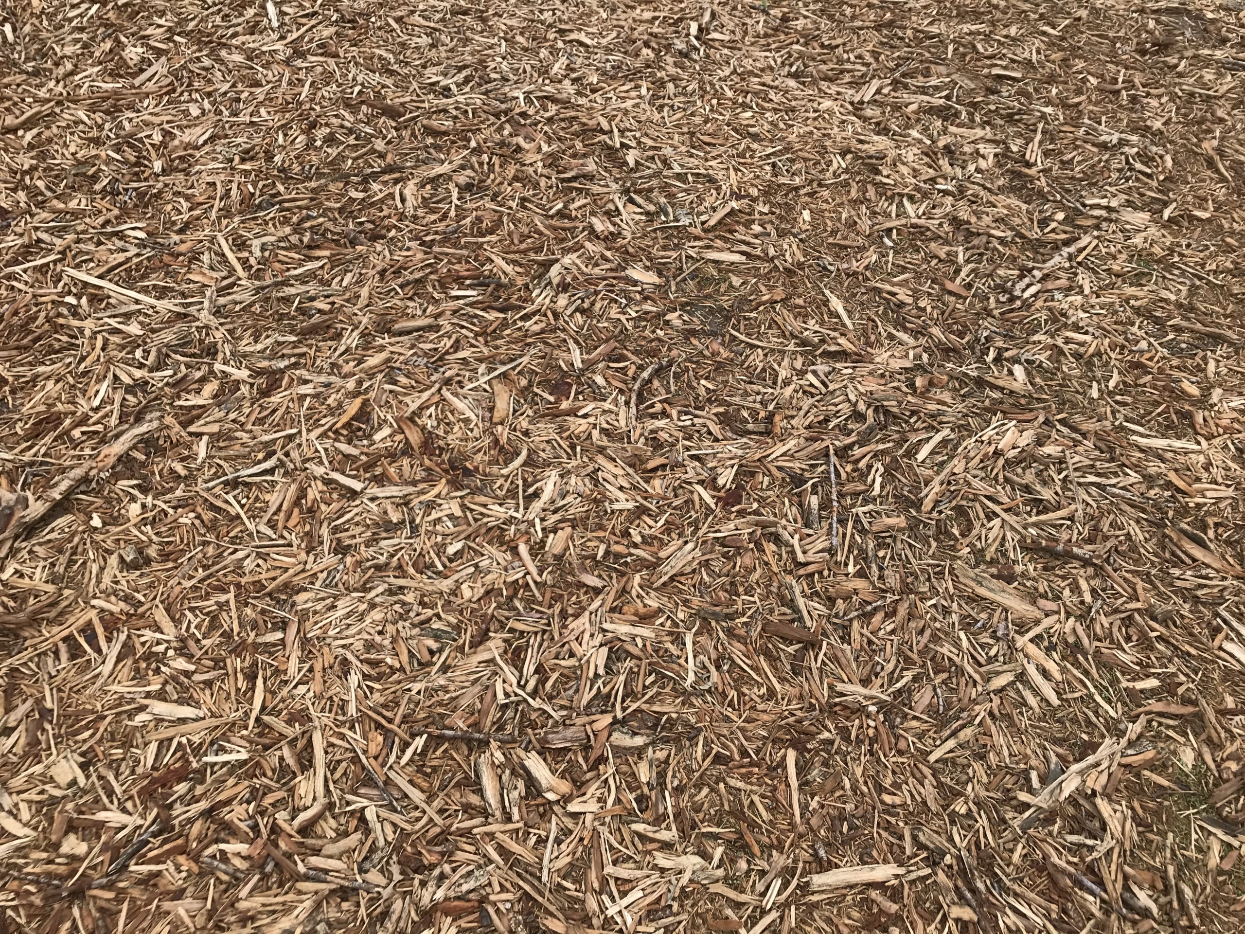 gemperle farms almonds pruning chips