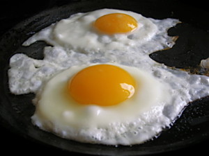 eggs have high quality protein
